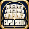 CAPSA SUSUN